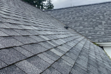 Roof Cleaning and washing Services
