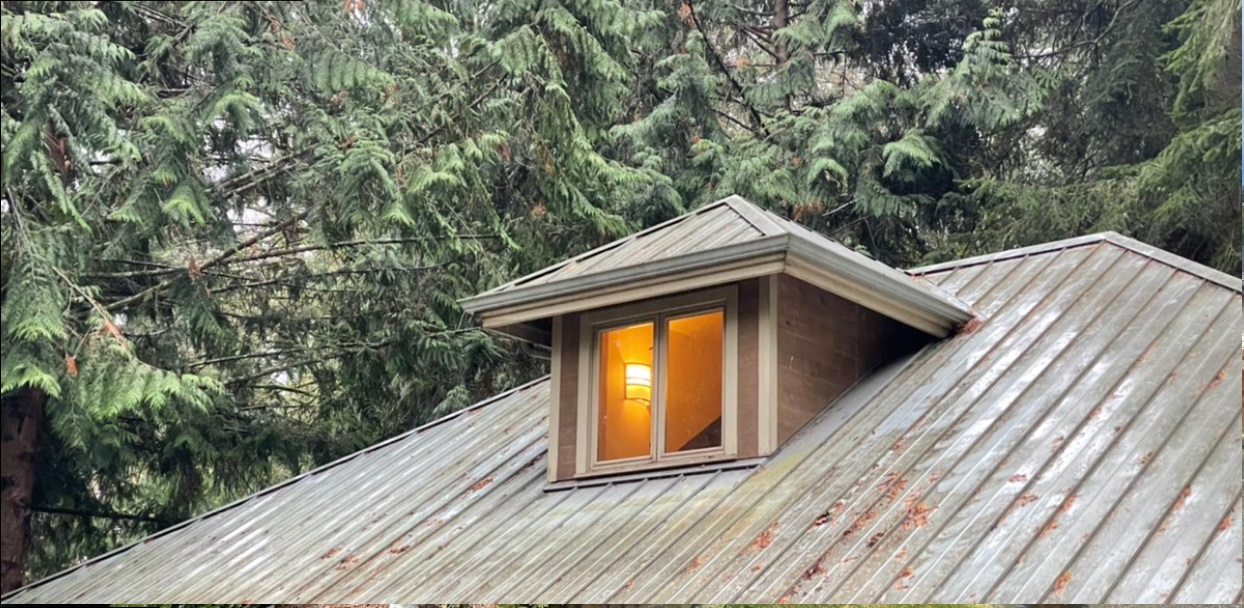 Power Wash Roof Cost