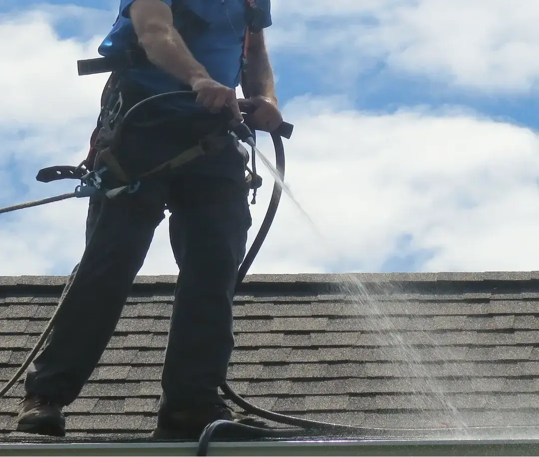 Roof Cleaning Seattle, Kitsap County Johnny Tsunami