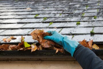 gutter cleaning leaves