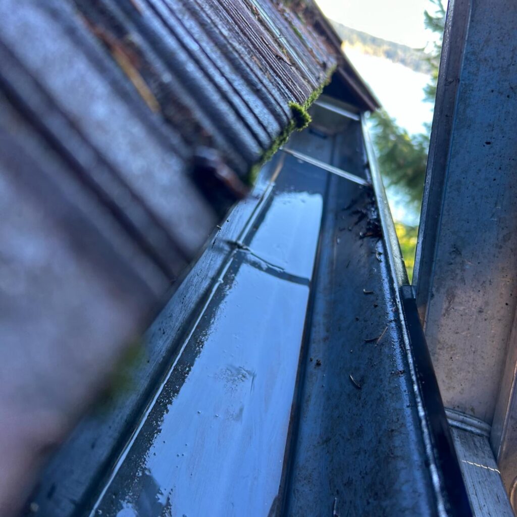 Exterior Cleaning, Pressure Washing Seattle Johnny Tsunami