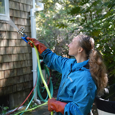 Pressure Washing