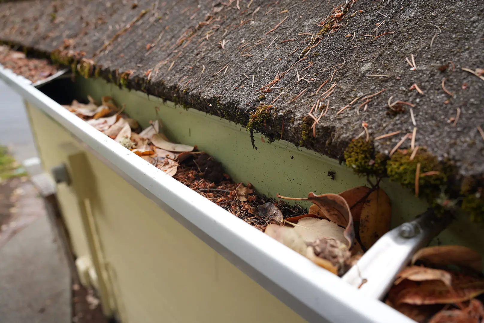 How Often Should You Clean Your Gutters? A Seasonal Guide for Homeowners