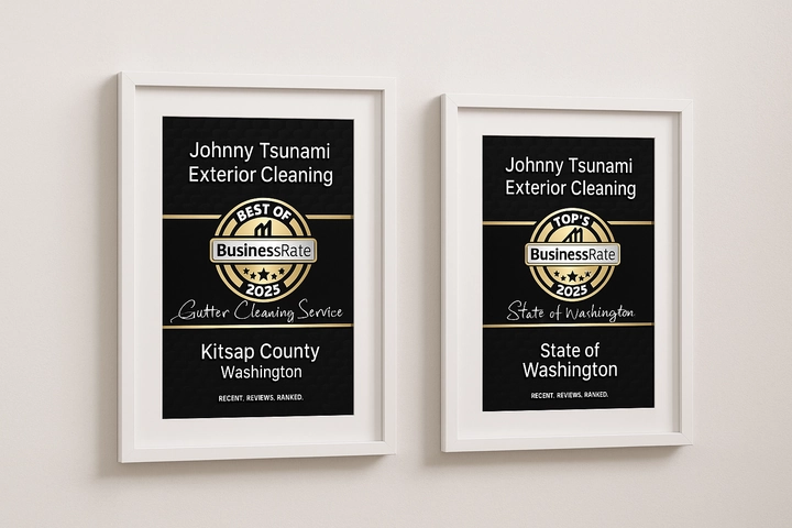 Johnny Tsunami Named Business Rate’s #1 Gutter Cleaning Service in Kitsap County