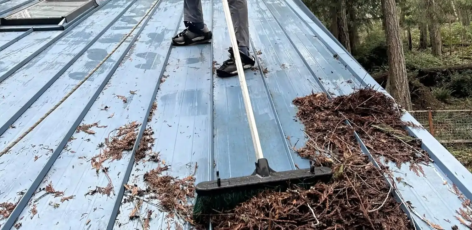 Top 5 Signs Your Roof Needs Cleaning Before Winter