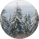 Jerry Enders profile picture