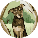 Darryl Aiello profile picture