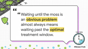Waiting until the moss is an obvious problem almost always means waiting past the optimal treatment window