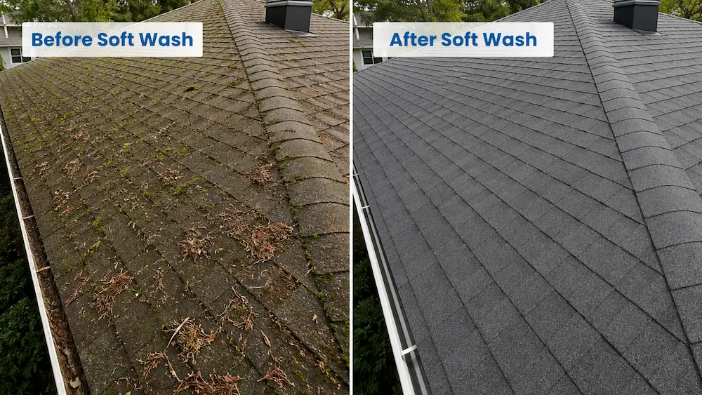 Soft washed roof before and after moss removal Pacific Northwest