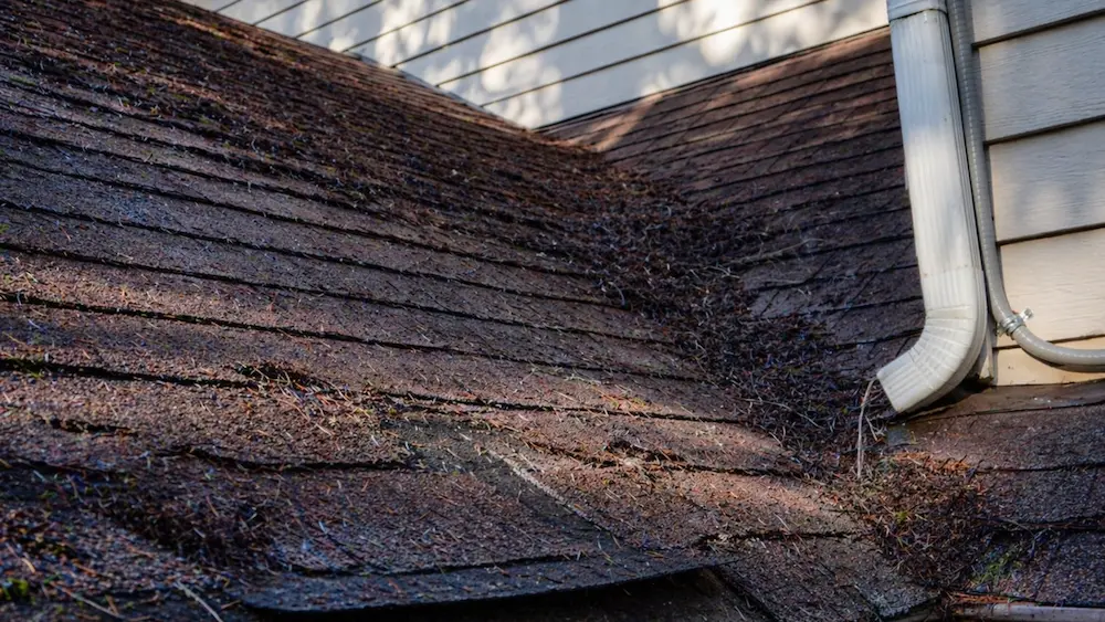Composition shingle granule damage from pressure washing