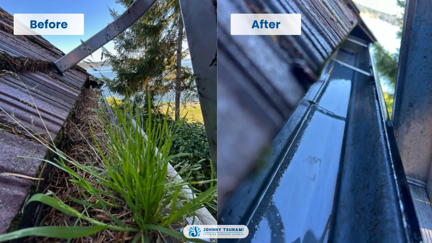 Gutter cleaning before and after results Pacific Northwest