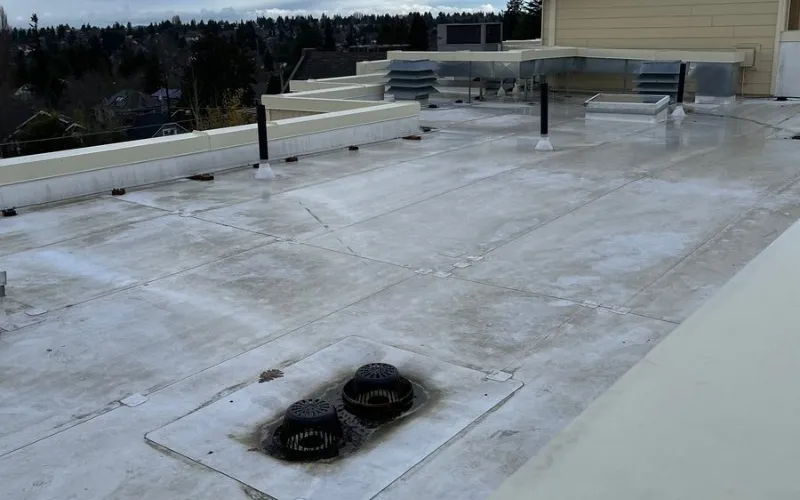 Commercial roof cleaning for apartment building in Greater Seattle
