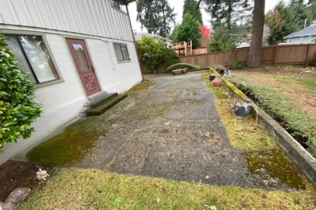 Before moss removal showing moss-covered exterior surfaces on a residential home