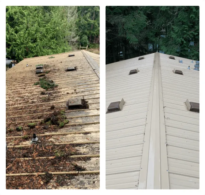 Clean asphalt shingle roof after professional roof cleaning