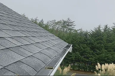 Clean gutters after professional hand cleaning and debris removal