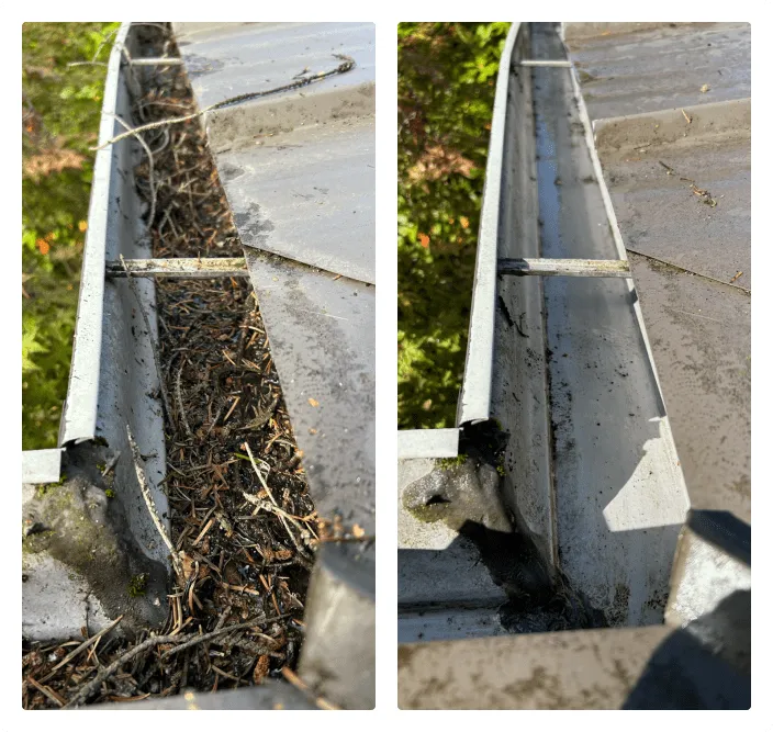Clogged gutter filled with leaves and standing water before and after cleaning
