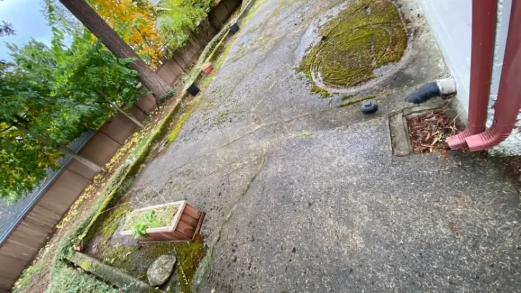 Concrete walkway with moss and organic buildup before exterior cleaning