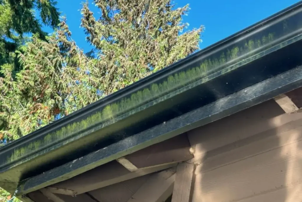 Black streaks and drip marks beneath gutters indicating the need for house washing