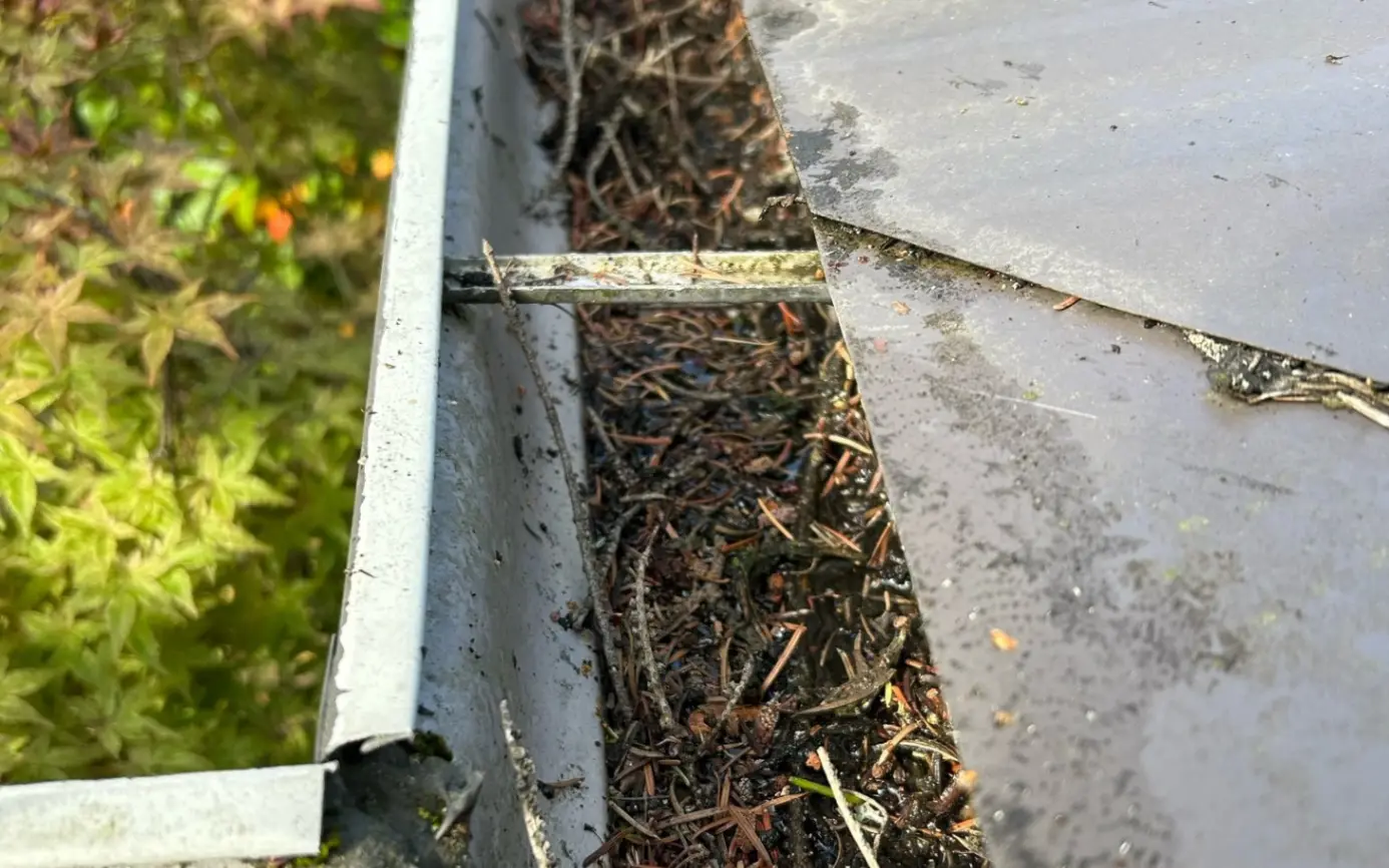 Dirty residential gutters before moss and leaf removal