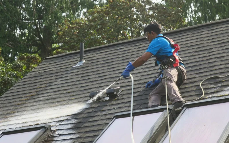 Exterior Cleaning Services in Bremerton, WA