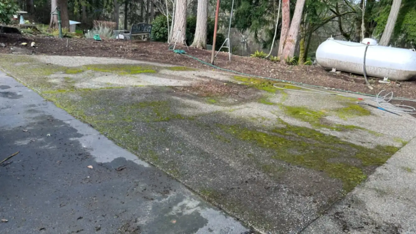 Before pressure washing concrete driveway with heavy dirt, moss, and surface stains