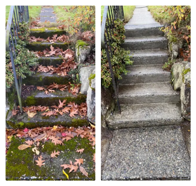 Concrete steps after professional moss removal creating a safer walking surface