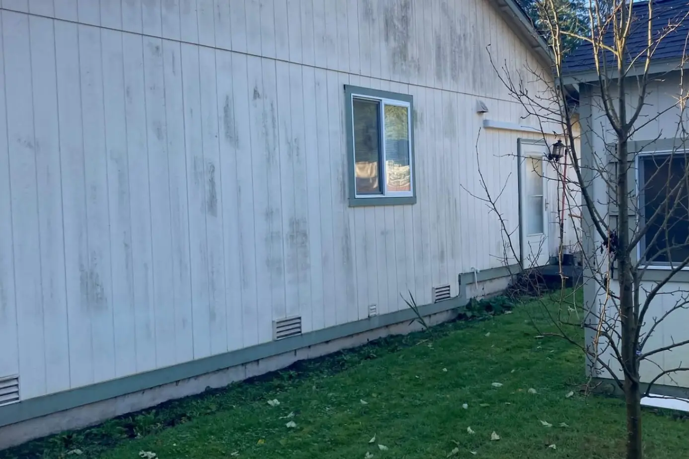 Before house washing showing dirty siding with algae buildup in Bremerton