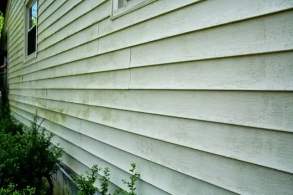 House siding with dull, dirty appearance before professional soft washing in Bremerton