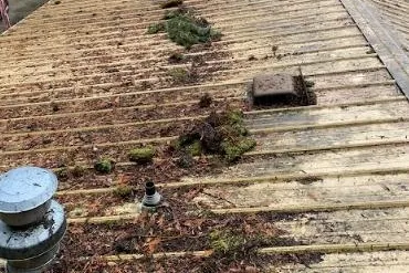 Metal Roof needs professional roof cleaning