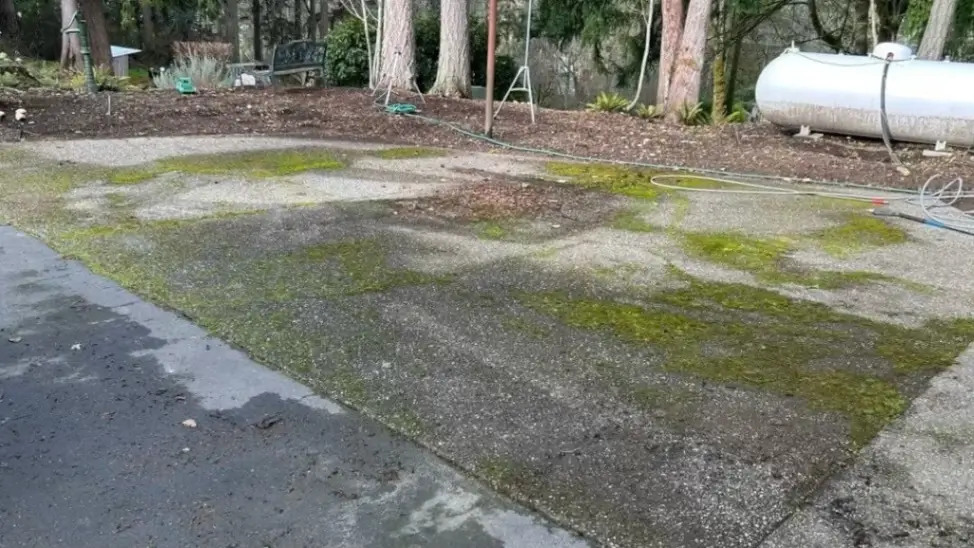 Concrete driveway with algae and grime showing signs professional pressure washing is needed