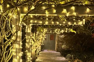 Outdoor pathway with decorative holiday lighting canopy
