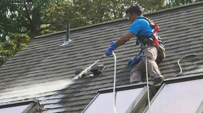 Professional roof cleaning service removing debris from roof