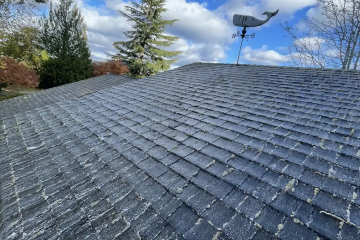 Residential roof after cleaning service