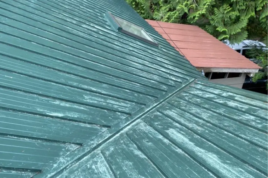Roof after professional roof cleaning