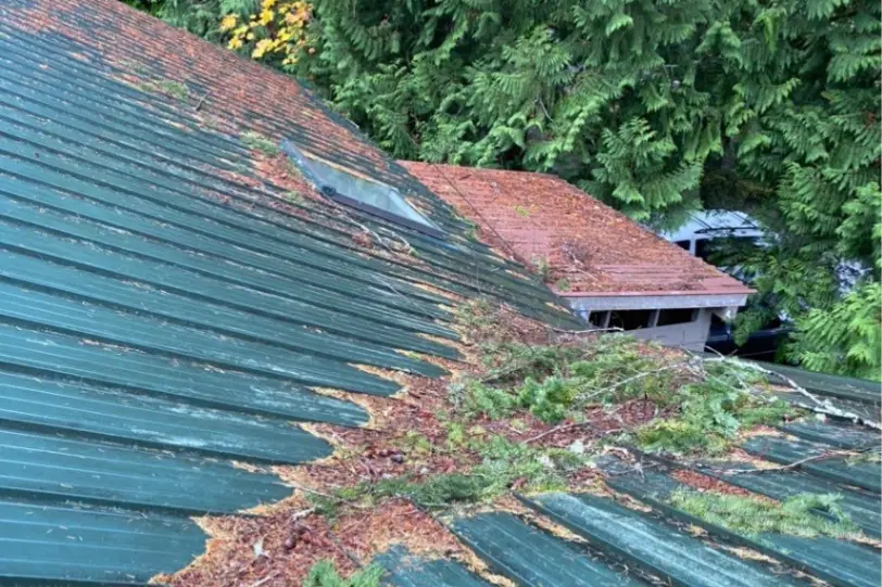 Roof before professional roof cleaning