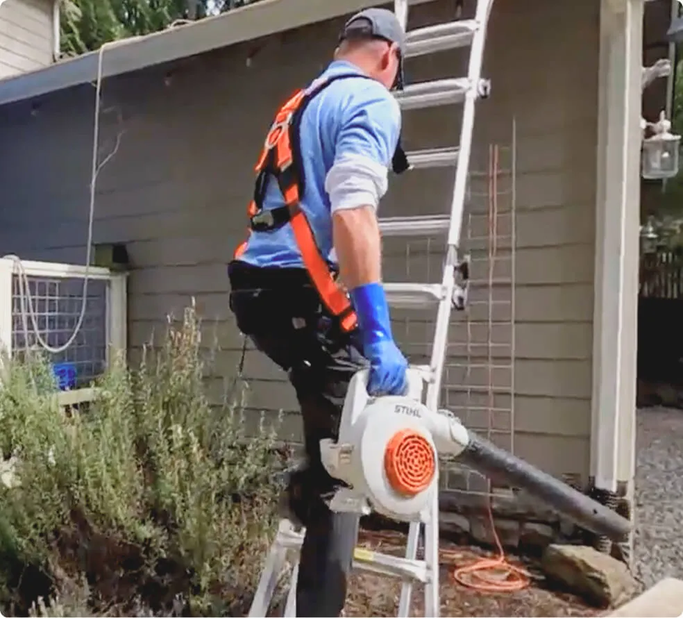 Technician applying professional cleaning treatment to residential property