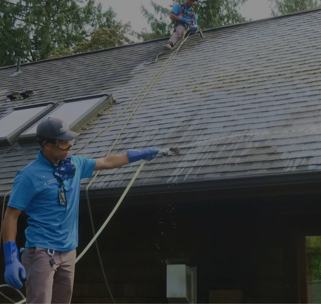Johnny Tsunami technician pressure washing roof to remove moss, algae, and debris in Bremerton