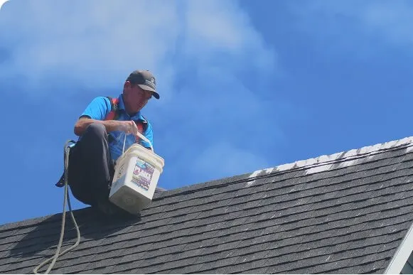 Technician performing residential roof cleaning