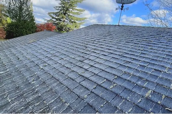Tile & Cement Roof Covered with moss needs cleaning