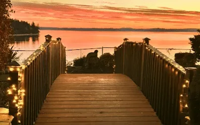 Walkway decorated with warm holiday string lights