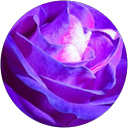 Purple 217 profile picture