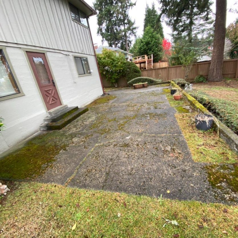 Before shot of back patio cleaning Before shot of back patio cleaning