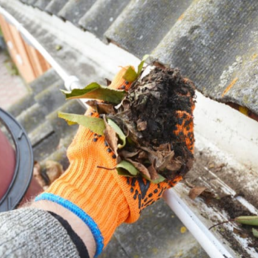 Gig Harbor Gutter Cleaning