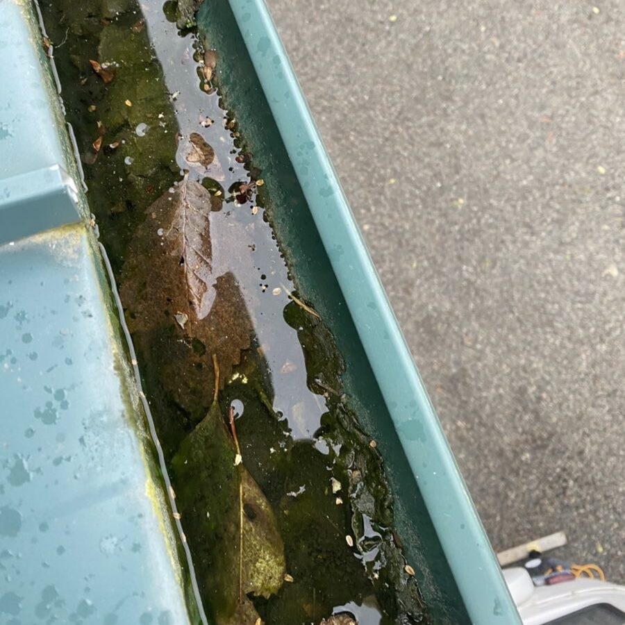 metal roof cleaning and gutters before meta roof gutter