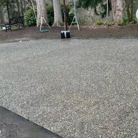 moss-driveway-after